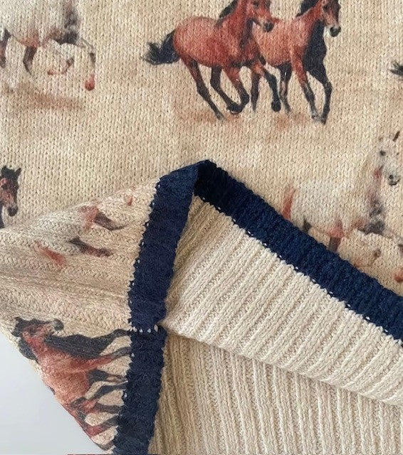 Wild Horses Sleeveless Knit Sweater Top in Oatmeal